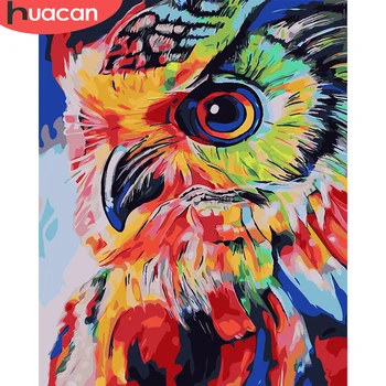 HUACAN Цветни Животни Боя На Номер Бухал Комплекти от Ръчно Рисувани Стенни Изкуството САМ Рамка за Картина На Номер Рисуване Върху Платно Начало Декор